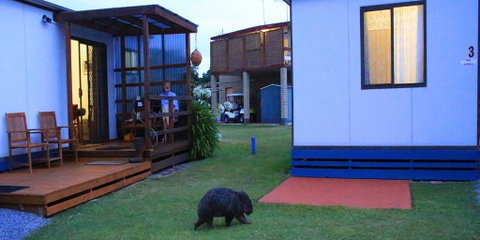 BIG4 Kelso Sands Holiday & Native Wildlife Park - Accommodation VIC 0