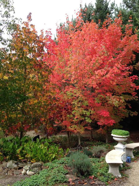 Black Duck Farm - Accommodation VIC 1