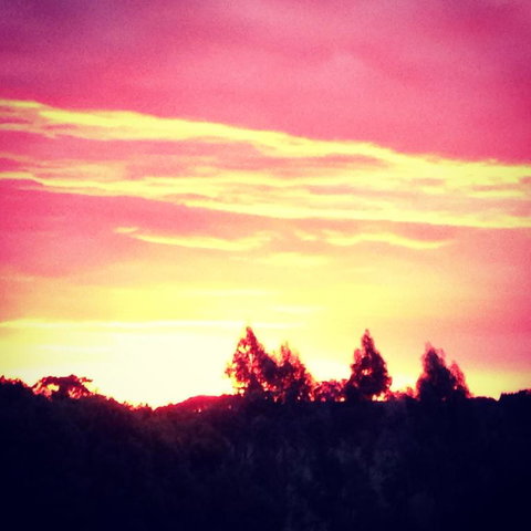 Black Duck Farm - Accommodation VIC 3