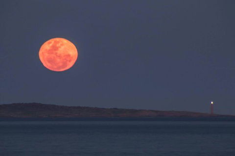 Blue Waters Holiday Cottages - Accommodation VIC 1