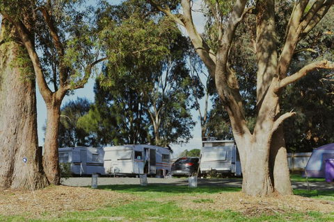 Woodmans Hill Motel - Accommodation VIC 2