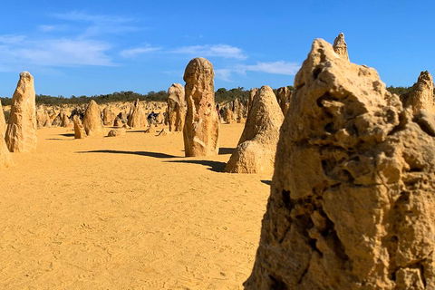 Pinnacles Desert (Private) Day Tour - Accommodation VIC 0