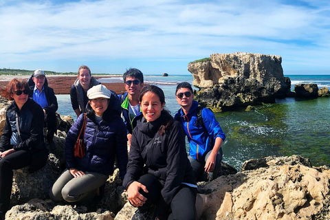 Pinnacles Desert (Private) Day Tour - Accommodation VIC 4