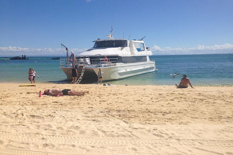 Cruise In Moreton Bay Marine Park And Moreton Island - Accommodation VIC 4