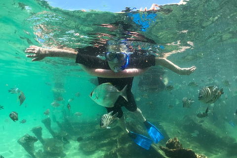 Cruise In Moreton Bay Marine Park And Moreton Island - Accommodation VIC 5