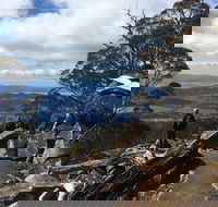 kunanyi / Mt Wellington Explorer Bus - 2 Hour Return Tour - Accommodation VIC