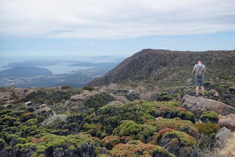 Kunanyi / Mt Wellington Explorer Bus - 2 Hour Return Tour - Accommodation VIC 3