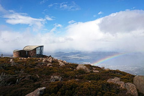 Kunanyi / Mt Wellington Explorer Bus - 2 Hour Return Tour - Accommodation VIC 5