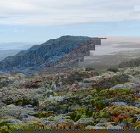 kunanyi/Mt Wellington Explorer Bus - One Way Tour - Accommodation VIC