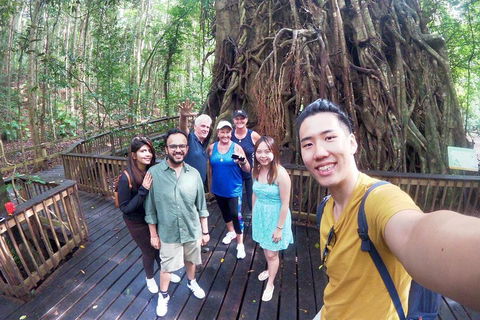 Cairns 4WD Waterfall And Rainforest Tour Including Kuranda Scenic Railway - Accommodation VIC 0