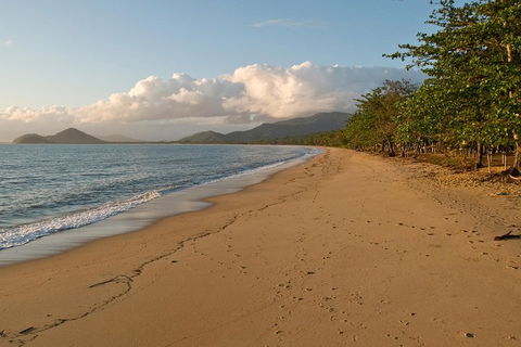 Cairns Reef And Rainforest Combo: Daintree Rainforest And The Great Barrier Reef - Accommodation VIC 4