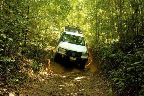Cairns National Park Rainforest And Waterfall Small Group Tour Shore Excursion - Accommodation VIC 0