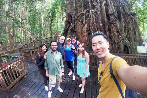 Cairns National Park Rainforest And Waterfall Small Group Tour Shore Excursion - Accommodation VIC 2