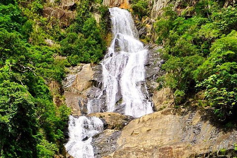 Cairns National Park Rainforest And Waterfall Small Group Tour Shore Excursion - Accommodation VIC 4