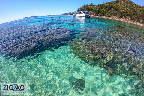 Whitehaven Beach Day Tour With Snorkel In Whitsundays Island - Accommodation VIC 5