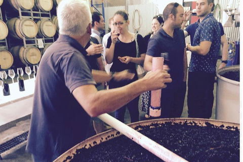 Luxury Private Mclaren Vale Wine Tour - Accommodation VIC 4