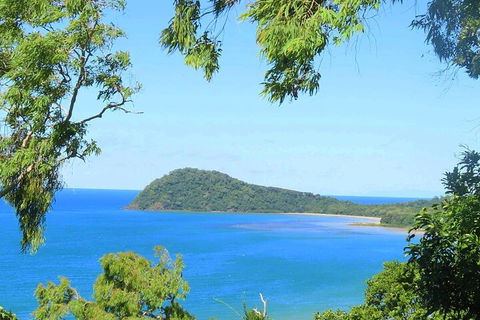 Full Day Tour In The Daintree - Accommodation VIC 1
