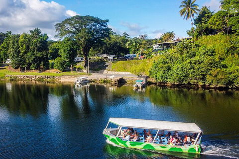 Full Day Tour In The Daintree - Accommodation VIC 2