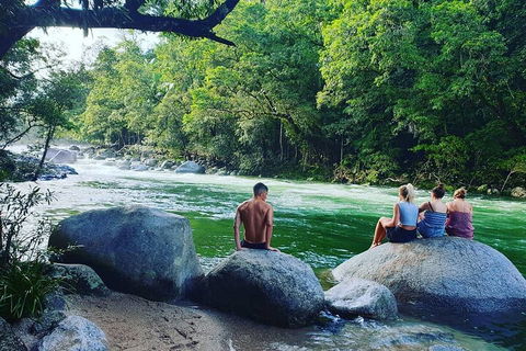 Full Day Tour In The Daintree - Accommodation VIC 3