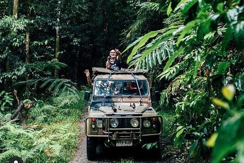 Full Day Tour In The Daintree - Accommodation VIC 4