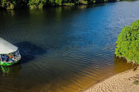 Afternoon Half-Day Daintree Rainforest And River Tour - Accommodation VIC 3