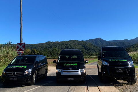Afternoon Half-Day Daintree Rainforest And River Tour - Accommodation VIC 4