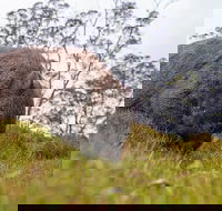 3-Day Cradle Mountain Photography Workshop - Accommodation VIC