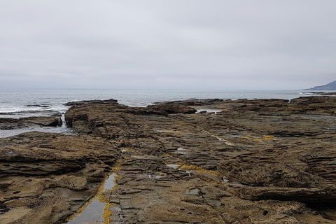 Luxury Private Great Ocean Road Tour Up To 11 People - Entire Vehicle - Accommodation VIC 1
