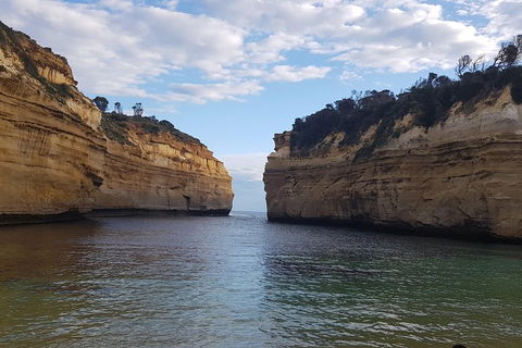 Luxury Private Great Ocean Road Tour Up To 11 People - Entire Vehicle - Accommodation VIC 2
