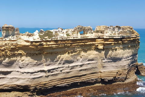 Luxury Private Great Ocean Road Tour Up To 11 People - Entire Vehicle - Accommodation VIC 4