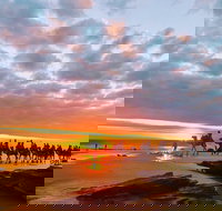 1 Hour Broome Sunset Camel Tour - Accommodation VIC
