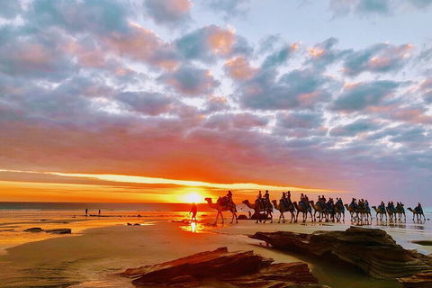 1 Hour Broome Sunset Camel Tour - Accommodation VIC 0