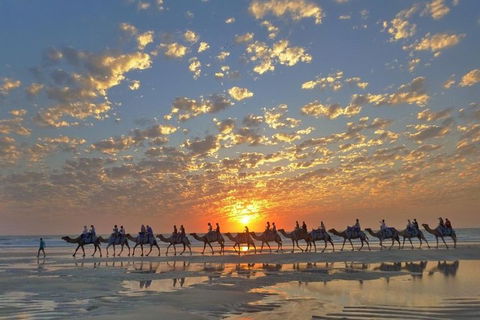 1 Hour Broome Sunset Camel Tour - Accommodation VIC 1