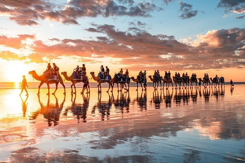 1 Hour Broome Sunset Camel Tour - Accommodation VIC 2