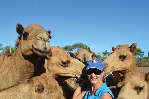 1 Hour Broome Sunset Camel Tour - Accommodation VIC 3