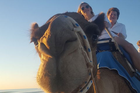 1 Hour Broome Sunset Camel Tour - Accommodation VIC 4