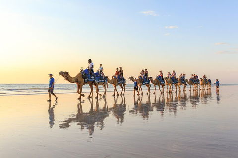 1 Hour Broome Sunset Camel Tour - Accommodation VIC 5