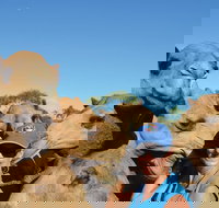 Broome Pre-sunset Camel Tour 30 minutes - Accommodation VIC