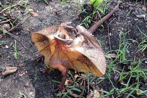 Litchfield National Park And Jumping Crocodile Cruise - Accommodation VIC 1