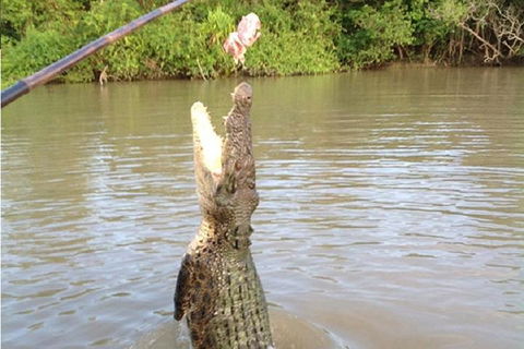 Litchfield National Park And Jumping Crocodile Cruise - Accommodation VIC 2