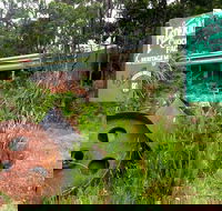 Port Arthur Richmond and Tasman Peninsula Day Trip from Hobart - Accommodation VIC