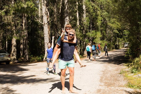 7-Day Best Of Tasmania Adventure Experience From Hobart (flexible Ticket) - Accommodation VIC 5