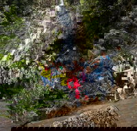 5-Day Lap of Tasmania Tour from Hobart flexible ticket - Accommodation VIC