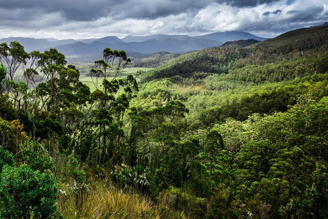 5-Day Lap Of Tasmania Tour From Hobart (flexible Ticket) - Accommodation VIC 2