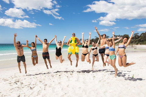 5-Day Lap Of Tasmania Tour From Hobart (flexible Ticket) - Accommodation VIC 4