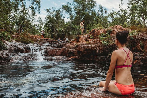 Litchfield National Park Day Tour From Darwin With Waterfalls And Buley Rockhole - Accommodation VIC 0