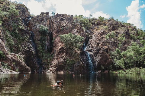 Litchfield National Park Day Tour From Darwin With Waterfalls And Buley Rockhole - Accommodation VIC 1