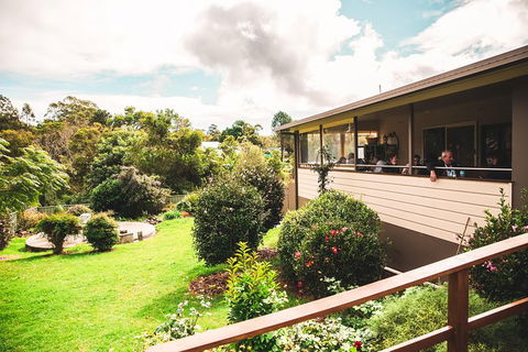 Full-day Springbrook National Park Tour From The Gold Coast - Accommodation VIC 2