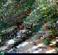 Fraser Island 4WD Tour from Rainbow Beach - Accommodation VIC