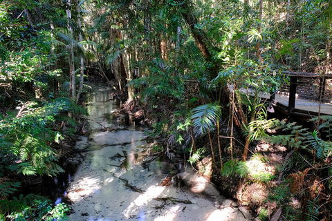 Fraser Island 4WD Tour From Rainbow Beach - Accommodation VIC 0